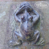 фото из отзыва ID 1714512