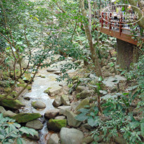 фото из отзыва ID 1714512