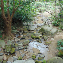 фото из отзыва ID 1714512