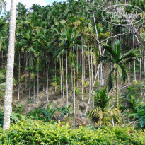 фото из отзыва ID 1714512