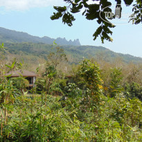 фото из отзыва ID 1714512