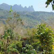 фото из отзыва ID 1714512