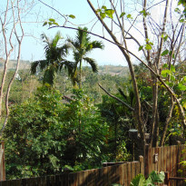 фото из отзыва ID 1714512