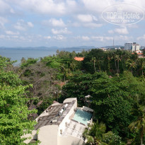 фото из отзыва ID 1715004