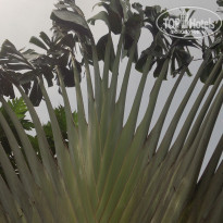 фото из отзыва ID 1715004