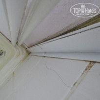 фото из отзыва ID 1715046