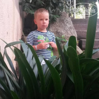 фото из отзыва ID 1715150