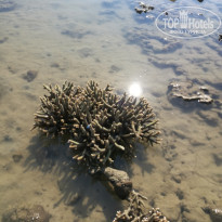 фото из отзыва ID 1715228