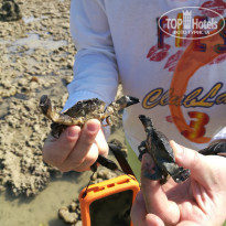 фото из отзыва ID 1715228