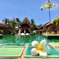 фото из отзыва ID 1715257