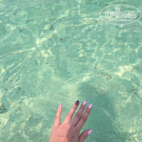 фото из отзыва ID 1715375