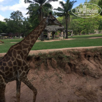 фото из отзыва ID 1715375