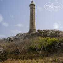 фото из отзыва ID 1715172