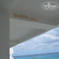 фото из отзыва ID 1715415