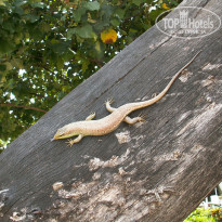 фото из отзыва ID 1715648