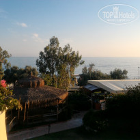 фото из отзыва ID 1715701