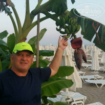 фото из отзыва ID 1715721