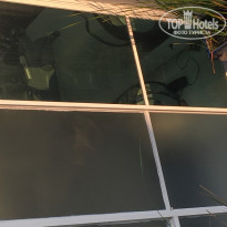 фото из отзыва ID 1715677