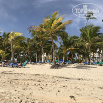 фото из отзыва ID 1715421