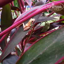 фото из отзыва ID 1715941