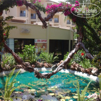 фото из отзыва ID 1716011