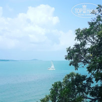 фото из отзыва ID 1716212