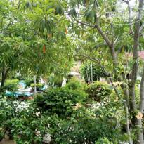 фото из отзыва ID 1716295