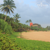 фото из отзыва ID 1710785