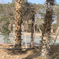 фото из отзыва ID 1716355