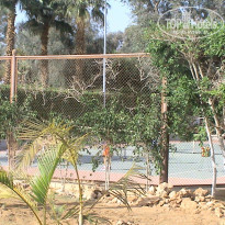 фото из отзыва ID 1716355