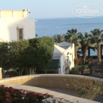 фото из отзыва ID 1716355