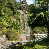 фото из отзыва ID 1716380