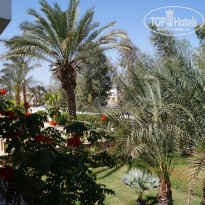 фото из отзыва ID 1716623