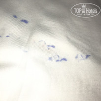 фото из отзыва ID 1716647