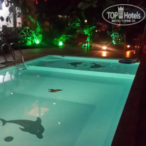 фото из отзыва ID 1716669