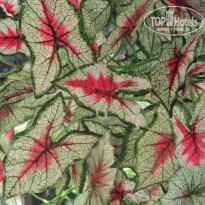 фото из отзыва ID 1716669