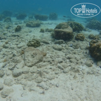 фото из отзыва ID 1716710