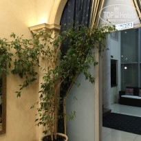 фото из отзыва ID 1716729