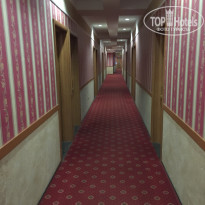 фото из отзыва ID 1716729