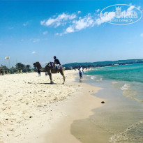 фото из отзыва ID 1716768