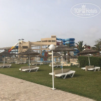 фото из отзыва ID 1716768