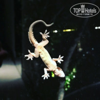 фото из отзыва ID 1716715