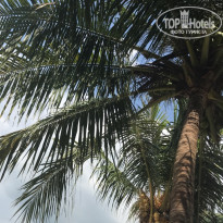 фото из отзыва ID 1716715