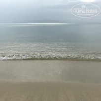 фото из отзыва ID 1716715