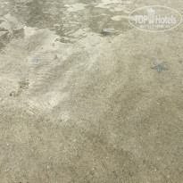 фото из отзыва ID 1716715