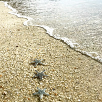 фото из отзыва ID 1716715