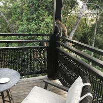 фото из отзыва ID 1716715