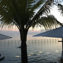 фото из отзыва ID 1716715