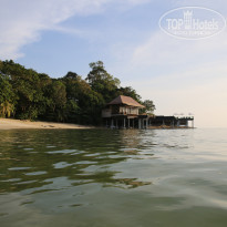 фото из отзыва ID 1716715