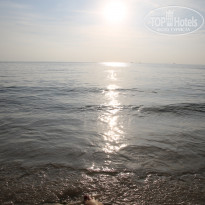 фото из отзыва ID 1716715